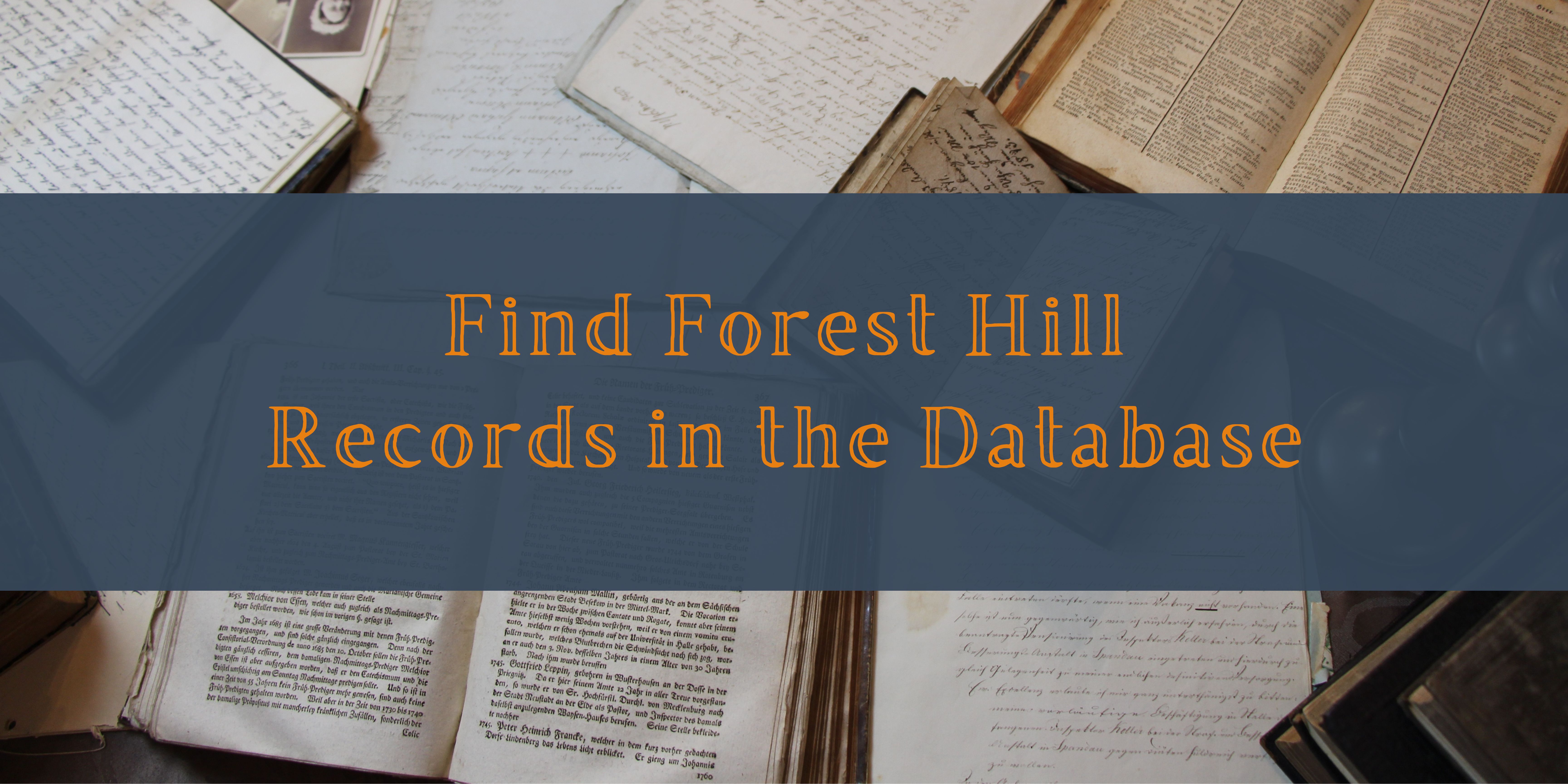 Find Forest Hill Records in the Database